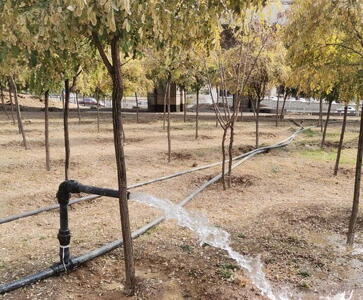  افتتاح ۶ طرح فضای سبز در شمال تهران