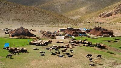  عشایر، افسران خط مقدم تأمین امنیت غذایی کشورند