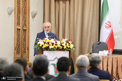  علی اکبر صالحی: قدرت فرهنگی قدرتی بی صدا، اما پایدار است/ قدرت فرهنگی نه بر اجبار، بلکه بر جذابیت اعتماد و فهم مشترک استوار است