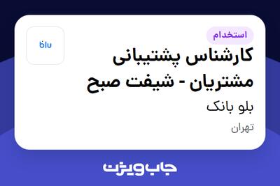  استخدام کارشناس پشتیبانی مشتریان - شیفت صبح در بلو بانک