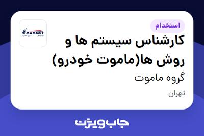  استخدام کارشناس سیستم ها و روش ها(ماموت خودرو) در گروه ماموت