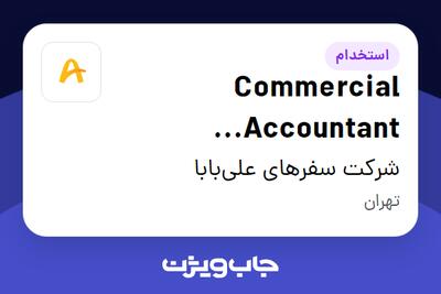  استخدام Commercial Accountant Specialist (Consultant contract) در شرکت سفرهای علی‌بابا