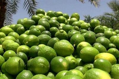  توقیف خودرو حامل لیمو خارجی قاچاق در میناب