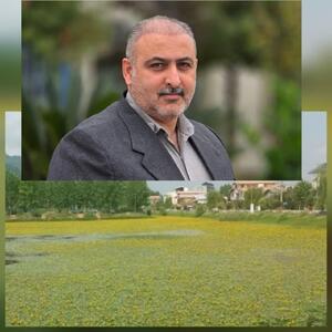  شهرکومله درریل سازندگی قرارگرفته است