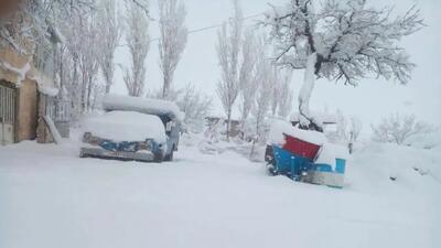  ببینید | بارش برف در سلماس آذربایجان غربی