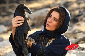  ۴ فیلم آماده نمایش و یک فیلم در پیش‌تولید؛ اکران «خاتی» در اولویت است - کلبه سرگرمی