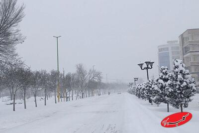  ببینید | تصاویری چشم‌نواز از بارش برف در ترکیه - کلبه سرگرمی
