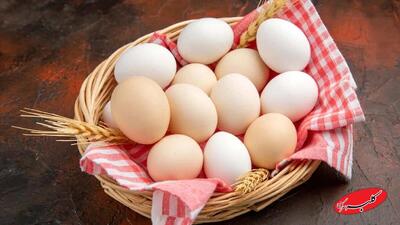  چگونه بوی زهم تخم‌مرغ را برای همیشه حذف کنیم؟ - کلبه سرگرمی