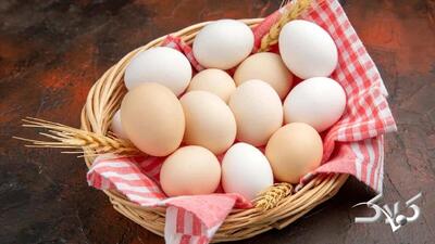  چگونه بوی زهم تخم‌مرغ را برای همیشه حذف کنیم؟ - مجله اینترنتی کولاک