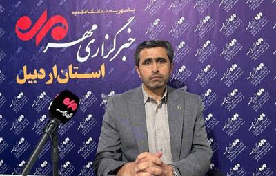  ناصر عبداللهیان: راندمان نیروگاه‌های تجدیدپذیر در اردبیل بالا است