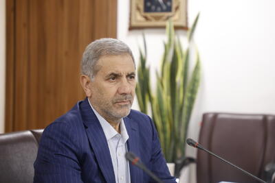  هاشمی: شیراز میزبان همایش بین‌المللی«سیره نبوی در طب» خواهد بود