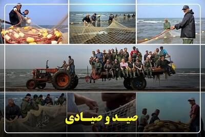  گیلان پیشتاز احیای ذخایر آبزی؛ صید ماهیان استخوانی ۴۰ درصد رشد کرد