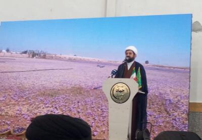  سویدانلویی: زعفران فاروج با همت کشاورزان در سطح جهان به شهرت رسید