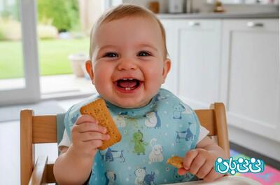  بیسکویت مادر از چند ماهگی مجاز است؟ ۴ فواید + نکات مهم مصرف