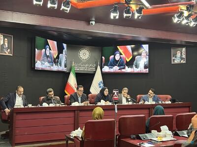  رئیس انجمن تجارت الکترونیک: دولت سرمایه‌گذاری ۲ میلیارد دلاری در اقتصاد دیجیتال کند - پیوست