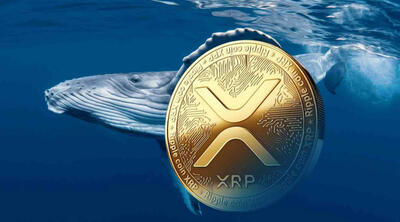  نهنگ‌ها و هولدرهای کوتاه‌مدت ریپل در حال انباشت؛ چرا قیمت XRP هنوز درجا می‌زند؟