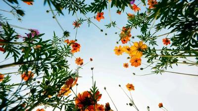  راهکارهای ساده و کاربردی برای فرار از روزهای کسل‌ کننده