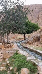 فیلم طبیعت زیبای تنگ کتویه