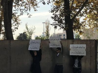  تجمع عجیب علیه شهرداری در تهران / به چنارهای تهران رحم کنید - سلام نو
