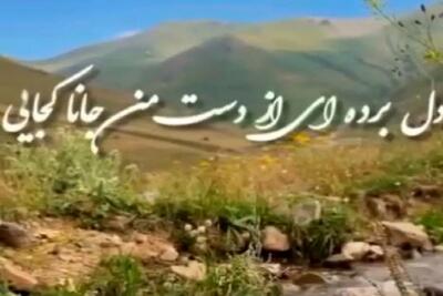  آواز اصیل؛ با این آهنگ سالار عقیلی قشنگ روحت میره وسط دشتای بهاری و پرواز میکنه