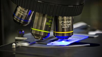  میکروسکوپ دو نوری، جزئیات ریز و حرکت نانو را با برد ۱۴ برابر بیشتر ثبت می‌کند