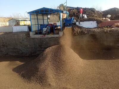  تبدیل ۳۶۵۰ تن ضایعات فضای سبز به کود آلی طی ۳ سال گذشته در مشهد