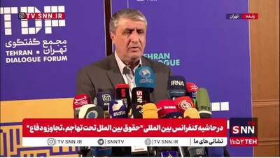  اسلامی: سوءاستفاده برخی کشورها از سازمان‌های بین المللی به ویژه آژانس قانون جنگل را بیش از پیش گسترش می‌دهد