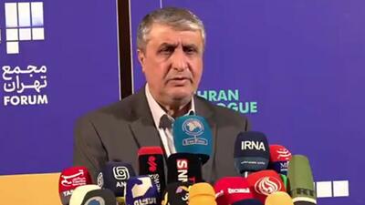  سوءاستفاده برخی کشور‌ها از سازمان‌های بین المللی به ویژه آژانس قانون جنگل را بیش از پیش گسترش می‌دهد