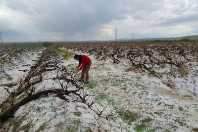  بارش تگرگ سردشت را سفید پوش کرد؛ ثبت ۳۷.۶ میلی‌متربارش