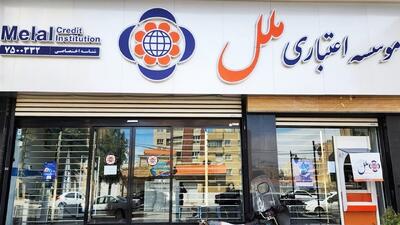  ناترازی سنگین موسسه ملل / بانک مرکزی وارد شد