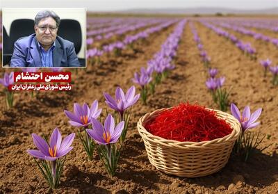  گفت‌وگو|نشان جغرافیایی زعفران قائنات اصالت و کیفیت منحصر به‌فرد را تثبیت می‌کند - تسنیم