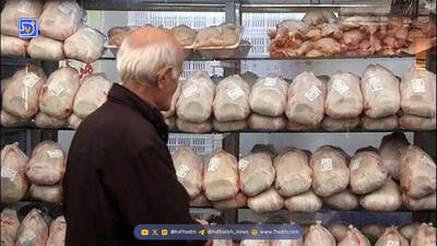  مرغ و تخم‌مرغ گران‌تر می‌شوند؟