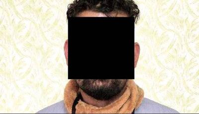  اعتراف«مارمولک سارق» به ۵۰ فقره سرقت!