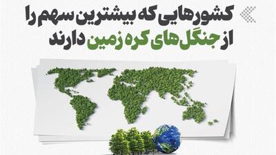  اینفوگرافیک/ کشورهایی که بیشترین سهم را از جنگل‌های کره زمین دارند