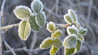  هوای کردستان هشت درجه سردتر می‌شود/مریوان پربارش ترین شهر استان