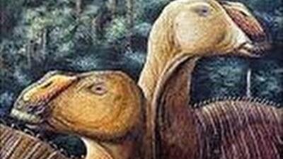  کشف گونه جدید دایناسور