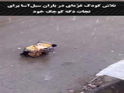 تلاش کودک غزه‌ای در باران سیل‌آسا برای نجات دکه کوچک خود