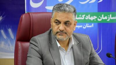  اقدام جدی علیه قاچاق دام، روغن و کالاهای اساسی در سیستان و بلوچستان