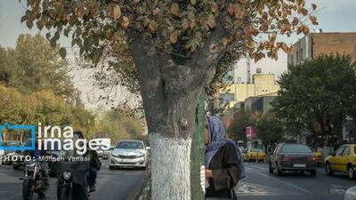  پاییز بی‌رنگ پایتخت