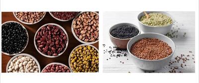  عدس یا لوبیا؛ کدام یک برای سلامتی بهتر است؟