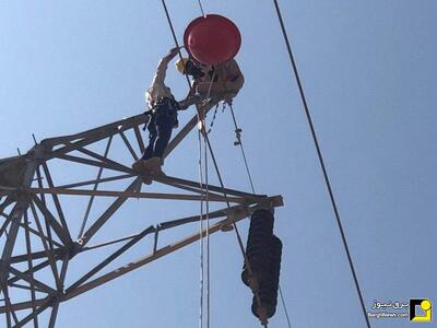  نصب گوی هشداردهنده بر روی سیم‌گارد خط ۱۳۲ کیلوولت اسرار - سلطان‌آباد خراسان