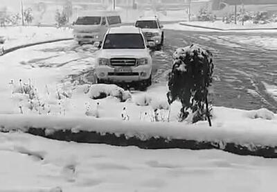  ارتفاع برف در این نقطه به ۲۰ سانتیمتر رسید