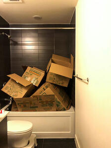  اجسام پنهان شده در این تصاویر را پیدا کنید