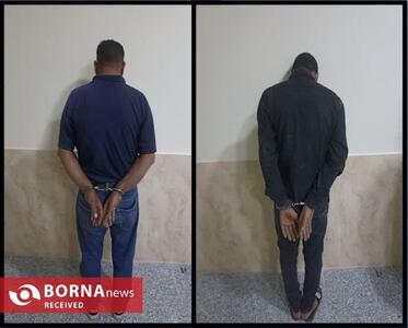  سارق انباری ساختمان های پرند دستگیر شد