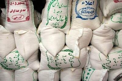  هشدار انجمن واردکنندگان برنج: آمار غلط و تأخیر در تخصیص ارز علت جهش قیمت‌هاست