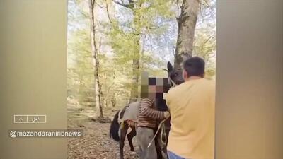  حمله به جنگلبانان آملی با داس و تبر + فیلم