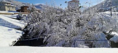  زمستان بی‌برف در راه ایران/ مدیرعامل شرکت منابع آب ایران: برخی سدها تنها برای حفظ پایداری سازه‌ها آب دارند