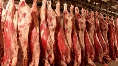  قیمت گوشت قرمز امروز ۲۶ آبان 1404 + جدول