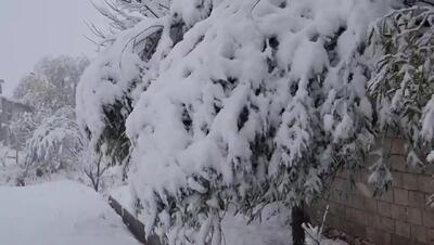  بارش برف در روستای مائین بلاغ شهرستان تکاب