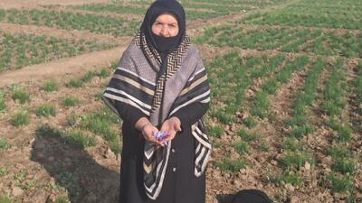  طلای سرخ ایران، دست توانای بانوان البرزی را می‌ستاید